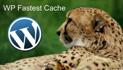 بهترین افزونه سرعت سایت : wp fastest cache